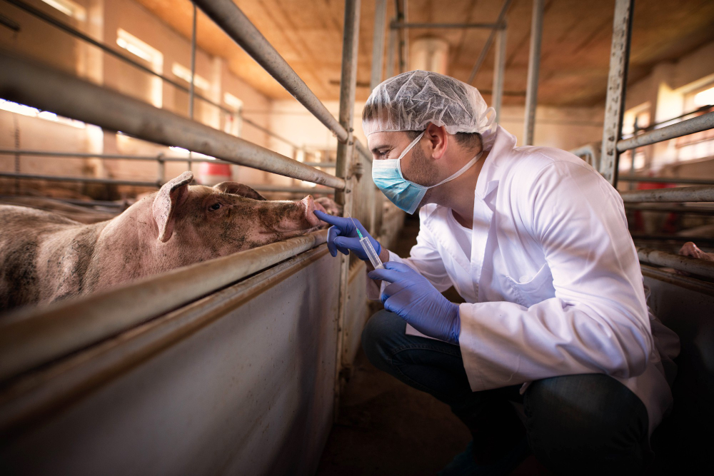 Image of animal science student with a pig. 