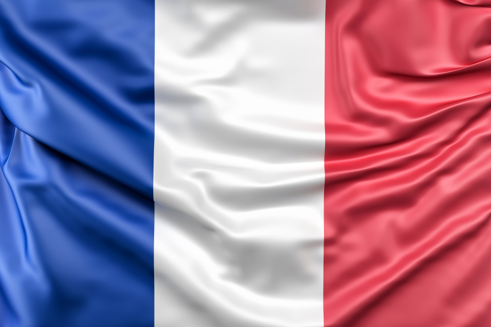 Image of French Flag