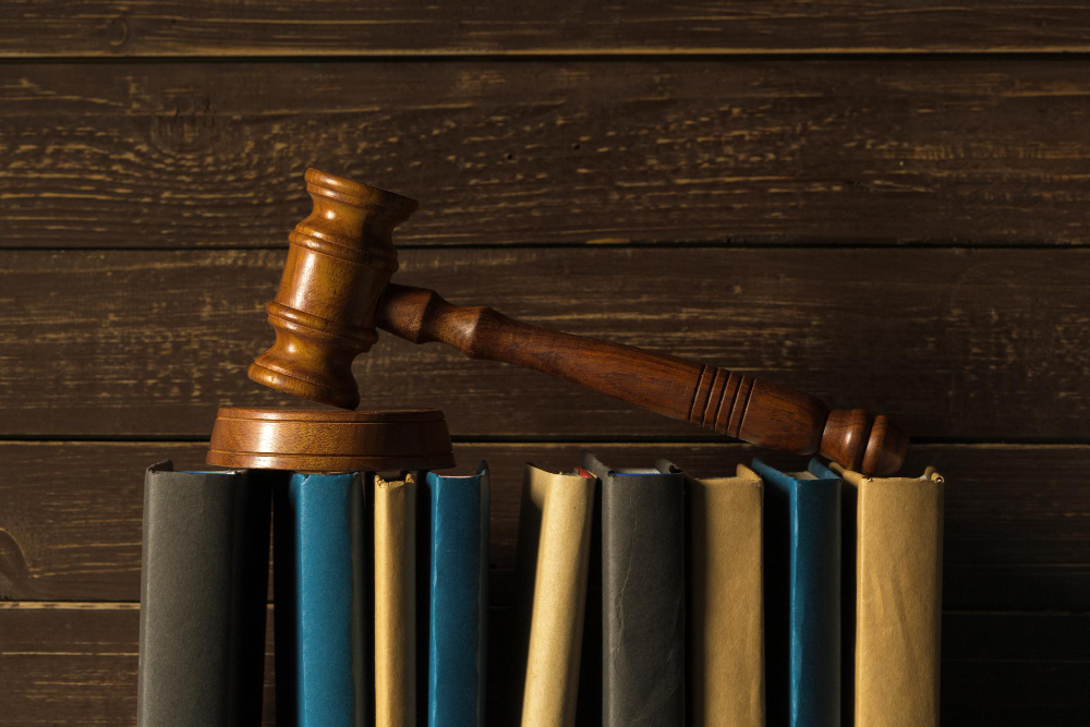 Image with gavel on books to depict law