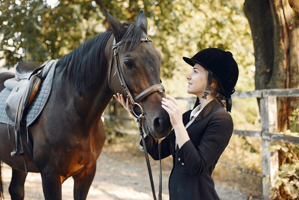 Image of a rider with a horse. 